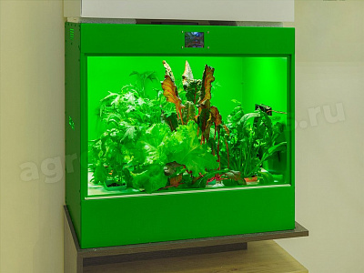 Агролаборатория ECOBOX ED