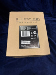 Сетевая акустическая система Bluesound Professional BSP125 BLK