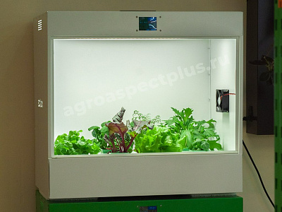 Агролаборатория ECOBOX ED
