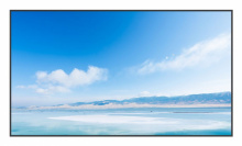 ЖК-панель Exell EXPD-DA65AM5 65"