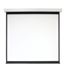 Экран настенный с электроприводом Digis DSEF-16902