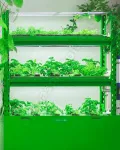 Мобильная многоярусная гидропонная установка модульного исполнения  VeFarm-ED