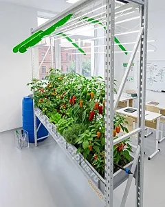 Гидропонная установка VeFarm ТО* Гидропонная установка VeFarm ТО*
