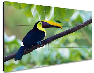 ЖК-панель для видеостен Exell EXPD-WA55BB35 55"