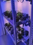 Климакомната Агроаспект+. 2 метра