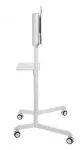 Стойка мобильная Digis DSM-P566