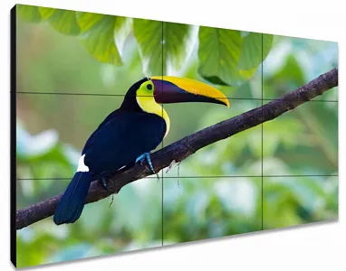 ЖК-панель для видеостен Exell EXPD-WA55AB15 55"